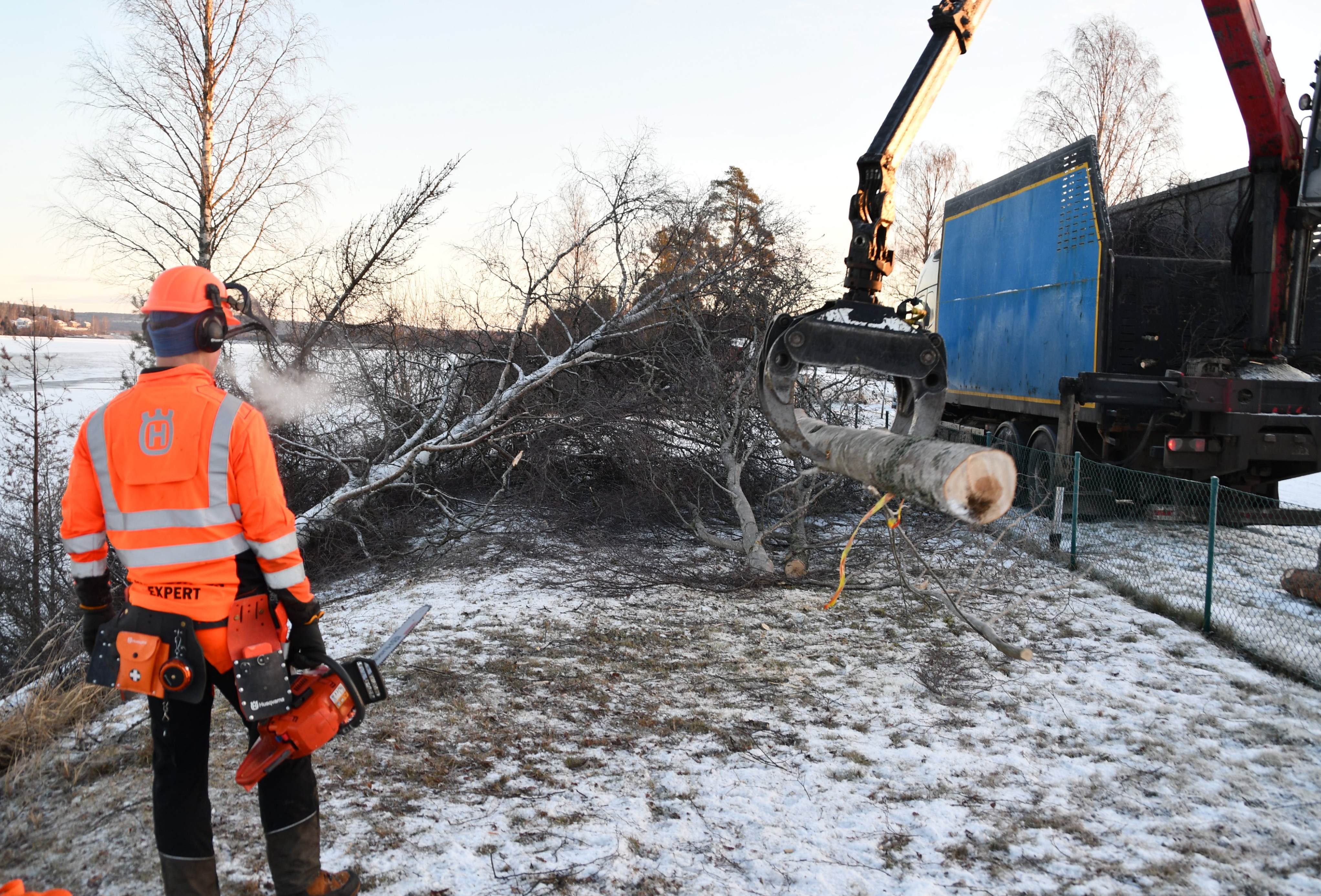 Beskärning Linköping