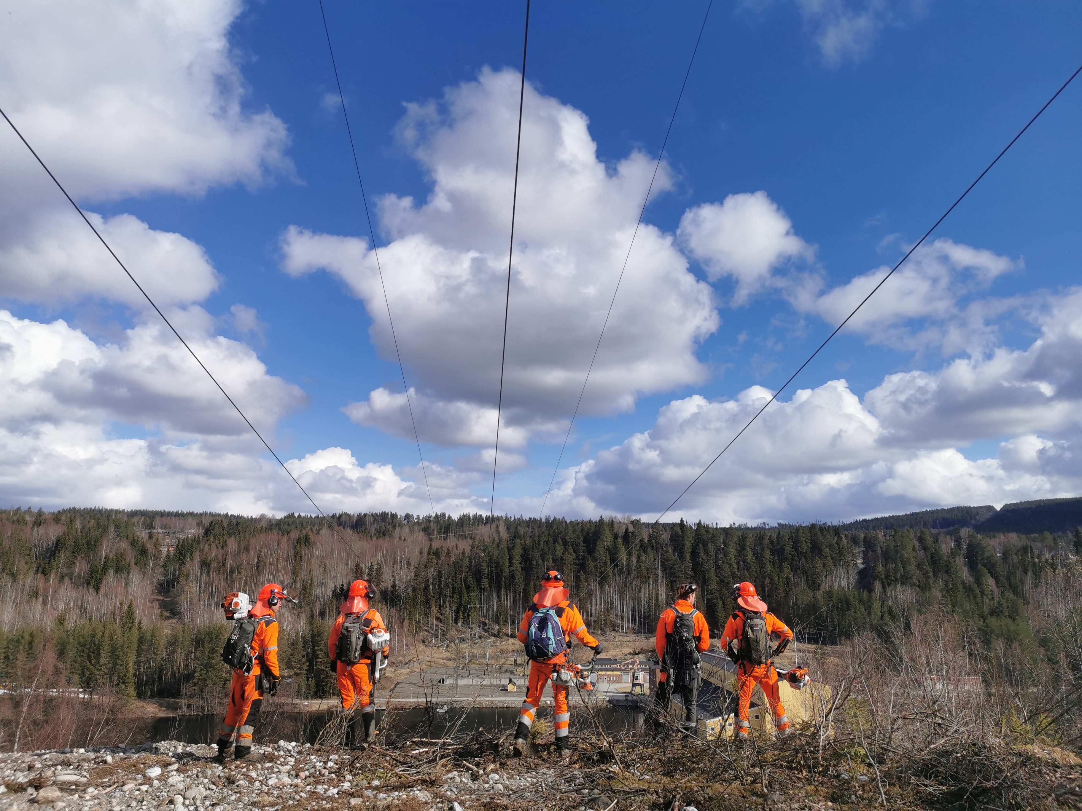 Bortforsling Linköping